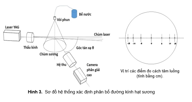 10. hinh 3