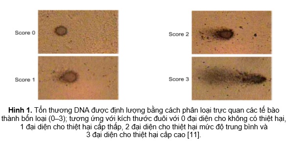 23. hinh 1