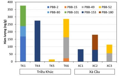 Nghi&ecirc;n cứu ph&acirc;n t&iacute;ch h&agrave;m lượng chất chống ch&aacute;y polybrom biphenyl (PBBs) trong mẫu nhựa t&aacute;i chế bằng phương ph&aacute;p sắc k&yacute; kh&iacute; khối phổ (GC/MS)