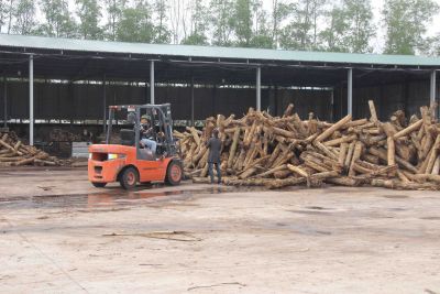 Cần triển khai quyết liệt, đồng bộ c&aacute;c giải ph&aacute;p đảm bảo an to&agrave;n, vệ sinh lao động