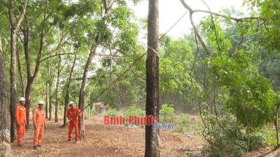 Tạo m&ocirc;i trường l&agrave;m việc an to&agrave;n cho người lao động
