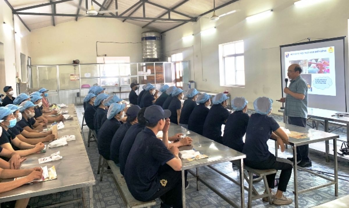 Hải Ph&ograve;ng: N&acirc;ng cao nhận thức về đảm bảo an to&agrave;n, vệ sinh lao động